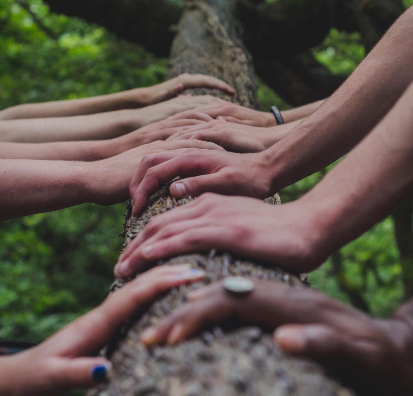 community for a tree